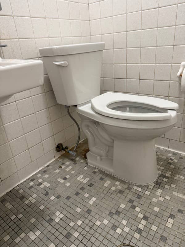 Bathroom Toilet Replacement